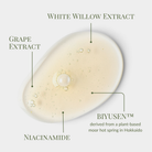 A drop of Fast Bundle’s Cloud Cleansing Kit serum—featuring white willow extract, grape extract, niacinamide, and BIYUSEN™ from Hokkaido—rests next to its gentle enzyme cleanser for a refined skincare routine.